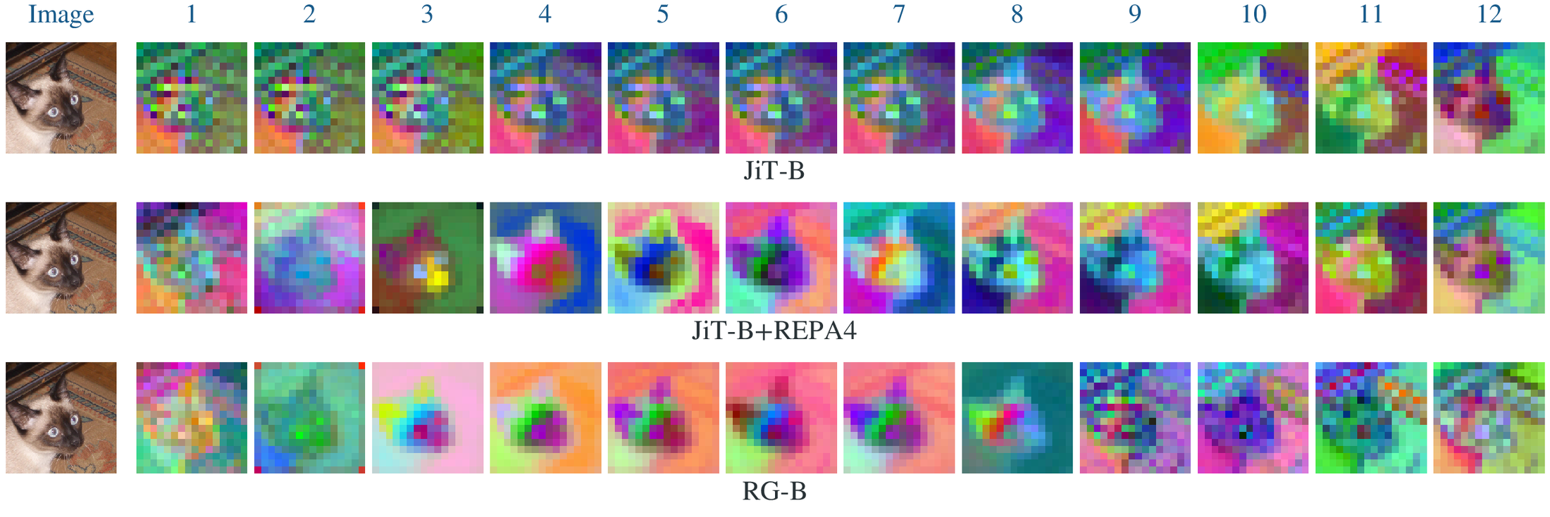 Layer-wise PCA visualization of JiT-B, JiT-B with REPA, and RG-B