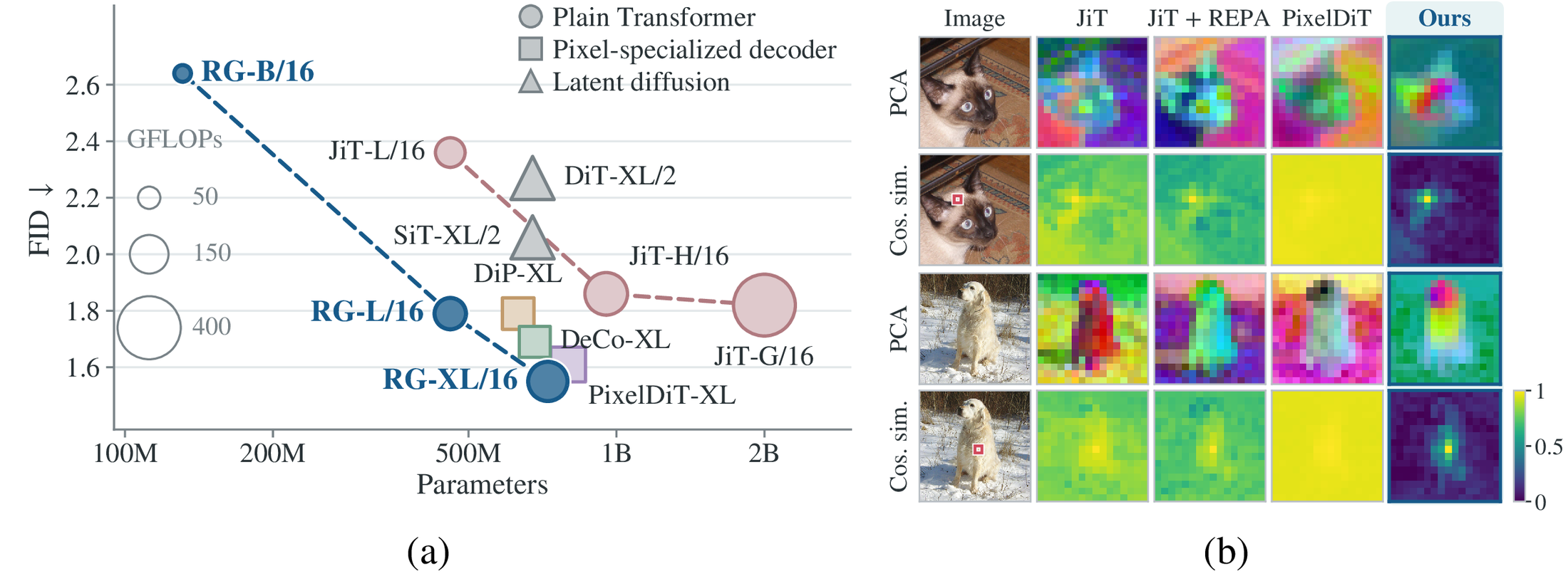 (a) FID versus parameters. (b) PCA and cosine-similarity maps of internal features